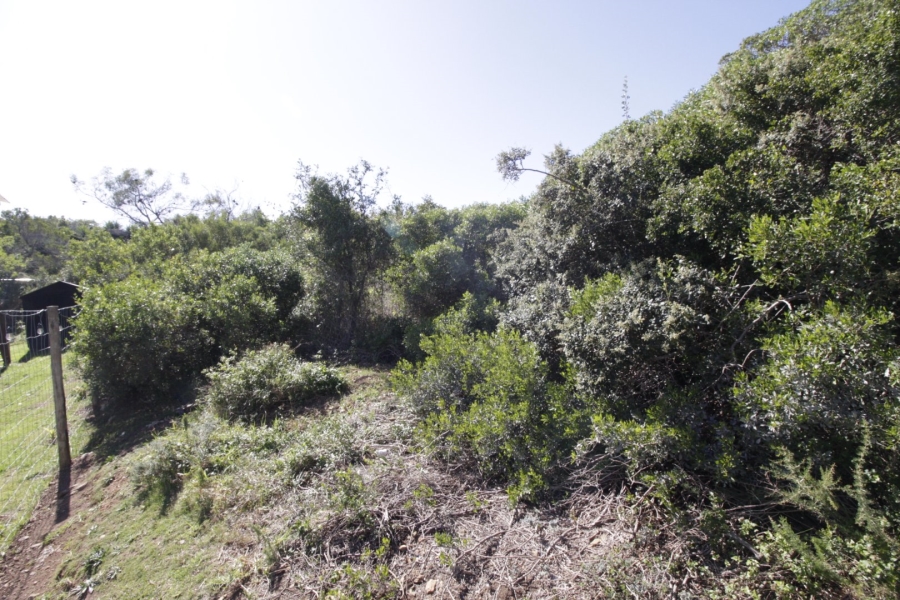  Bedroom Property for Sale in Noorsekloof Eastern Cape